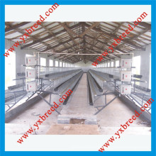 New Types of Chicken Layer Cages